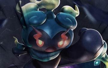 �ڴ�ѵ��ʦ��Ϊ��