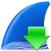 WiresharkɫЯv3.4.1 İ