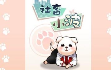 社畜小波游戏 社畜小波游戏