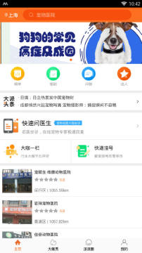 大派宠物 大派宠物