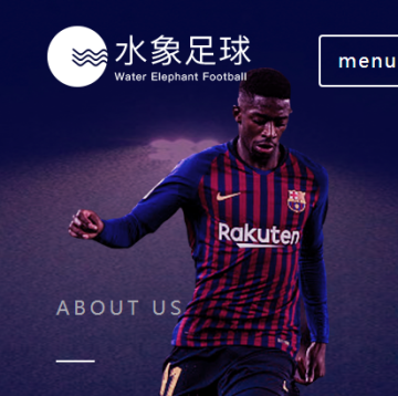 水象足球 水象足球