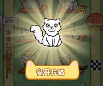 跑跑云养猫 跑跑云养猫