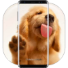 Dog Licks Lock Screenֽv2.0 ׿