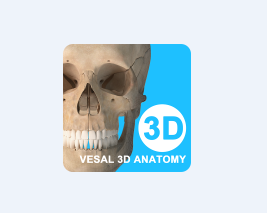 维萨里3D解剖app