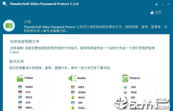 ThunderSoft Video Password Protect中文版