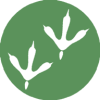 v1.0.32 ׿