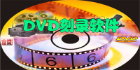 DVD¼