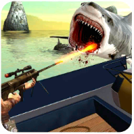 Shark Hunter()