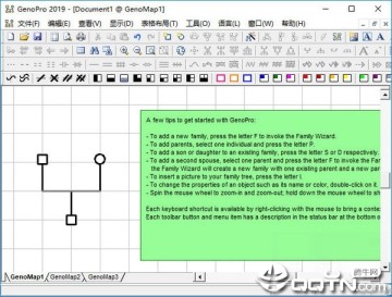 GenoPro2019家谱基因图创建工具 GenoPro2019家谱基因图创建工具