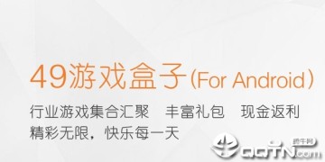 49��Ϸ����