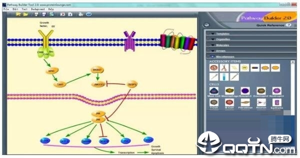 Pathway Builder Tool