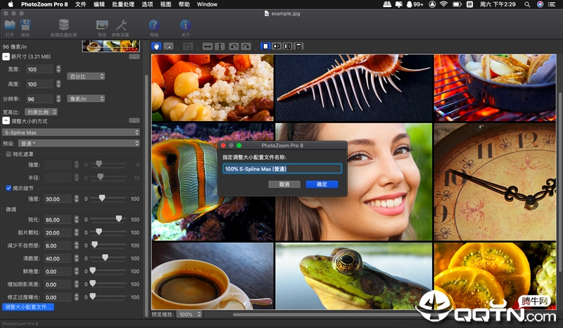 PhotoZoom Pro Mac