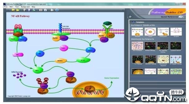 Pathway Builder Toolv2.0 ɫ