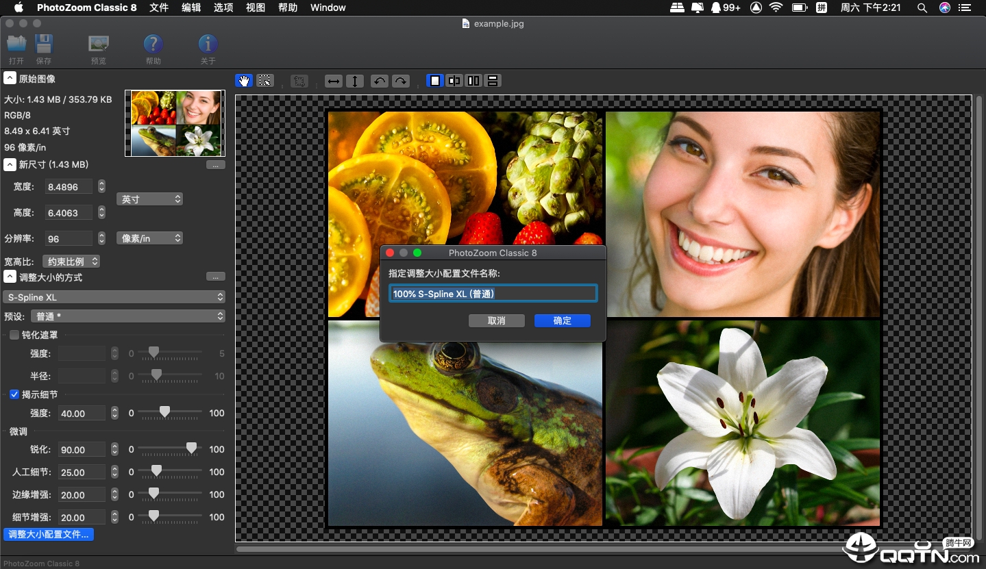 PhotoZoom Classic Mac版v8.0 官方版