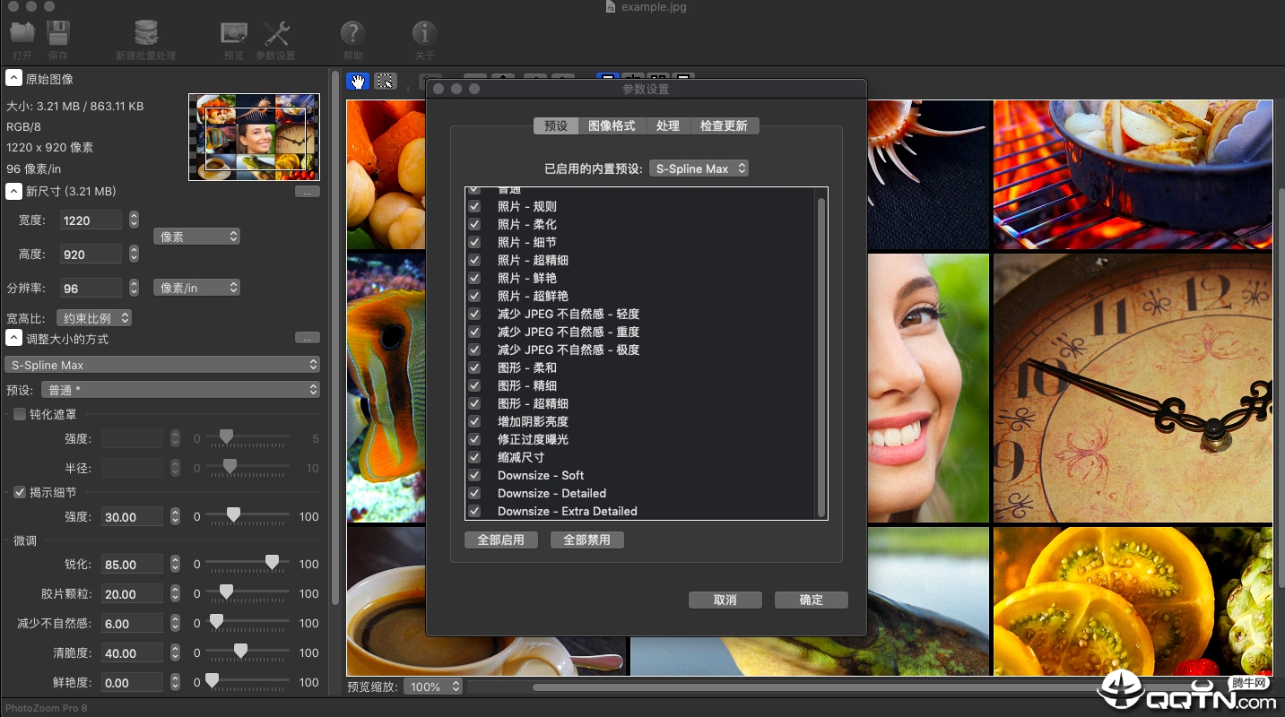 PhotoZoom Pro Macv8.0 ƻ԰