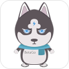 عv2.5.6 ׿