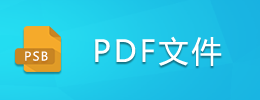 PDF文件