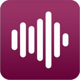 Duplicate Music Fixerv2.1.1000 ٷ