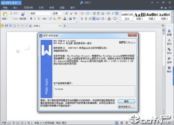 wps office2013רҵ