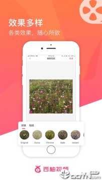 西柚视频 西柚视频