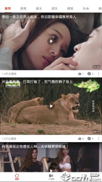 乐乐视频 乐乐视频