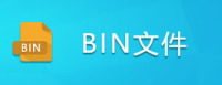 BINļ