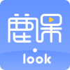 ¹Lookv1.0.9 ׿