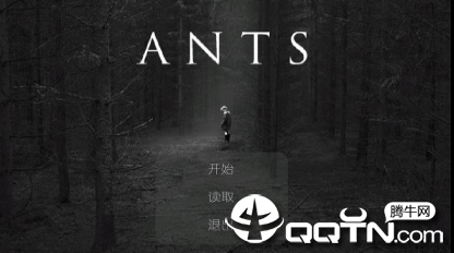 ANTSϷ