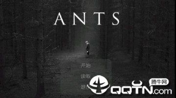 ANTS游戏 ANTS游戏