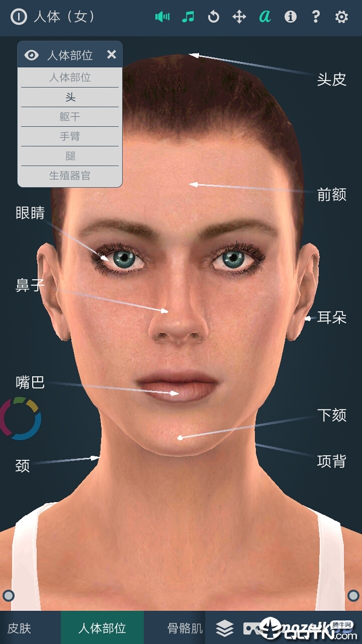 Human body (female)Ův1.0 ׿