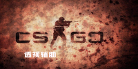 CSGO͸Ӹ