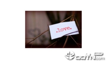 ���������ѯ