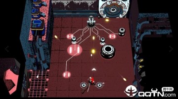 井中生物 井中生物