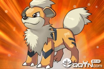 �ڴ�С������V��