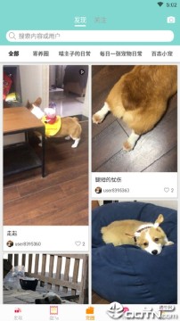 坚果墙 坚果墙