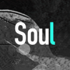 soul԰v3.1.14 pc