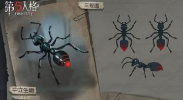 �����˸���Ⱥ��ʲô ����Ⱥ�淨����