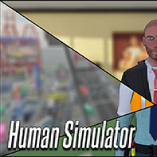Human Simulator(ģ)Ӣⰲװ