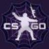 CSGOǹȫܰ渨v1.21 °