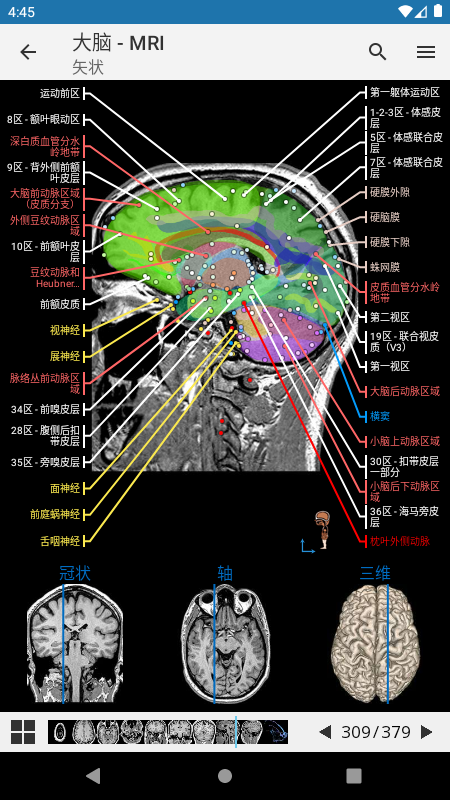 e-Anatomy appv4.11.0 °