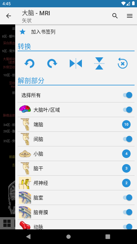 e-Anatomy appv4.11.0 °