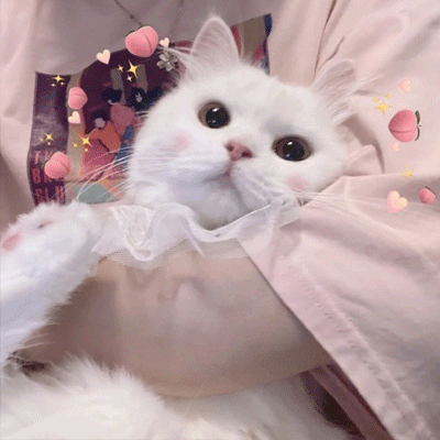 ߹ʺÿǩ һ