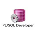 plsql developer14汉化破解版