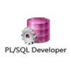 plsql developer14ƽv14.0.2.1969 ɫ