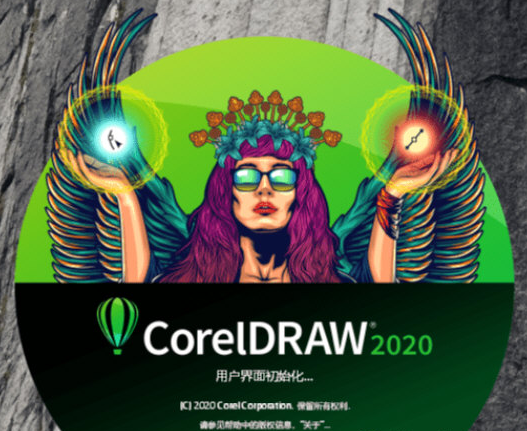 cdr2020¼ƽ