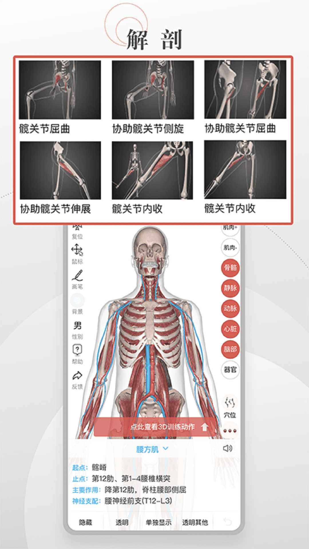 3D运动健康v1.0.0 手机版