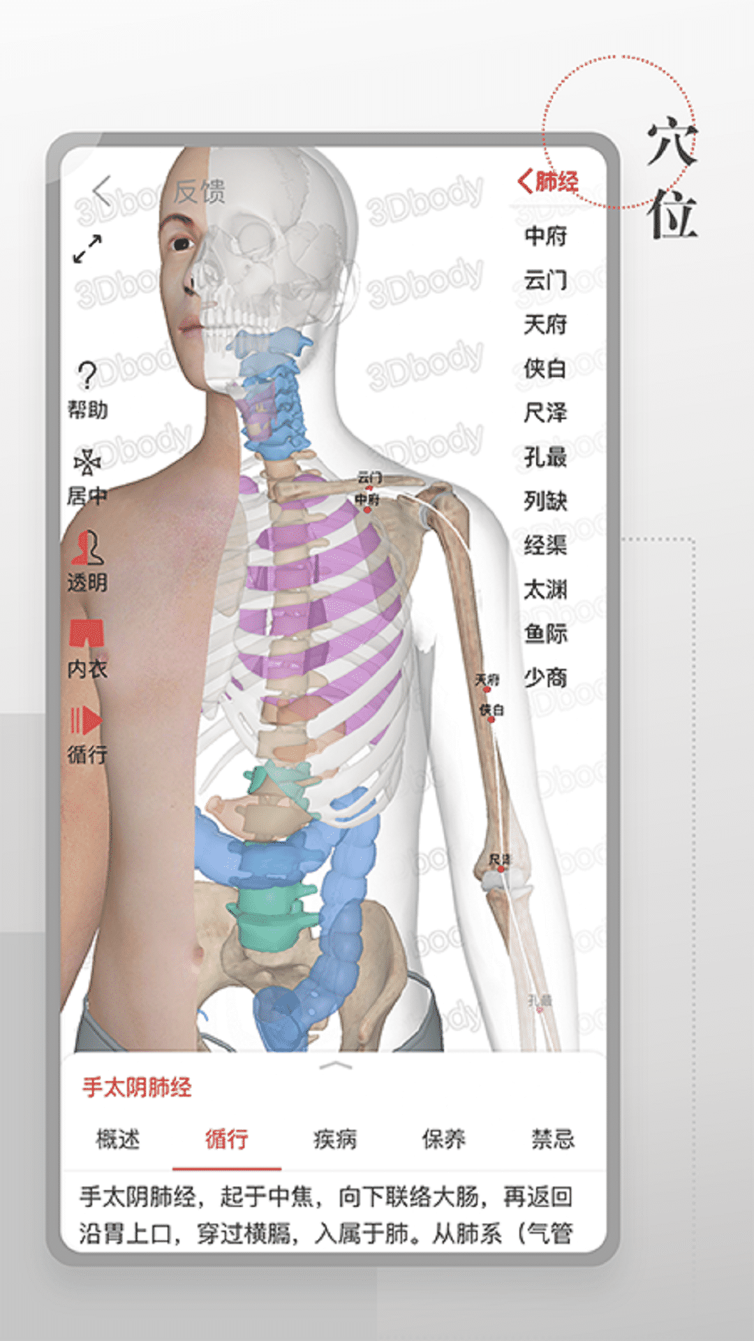 3D运动健康v1.0.0 手机版