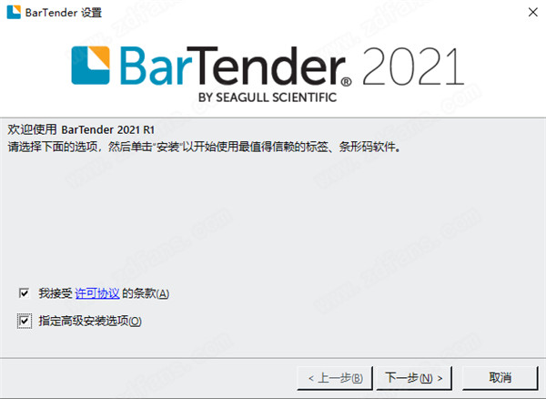 BarTender 2021ҵv2021 Ѱ