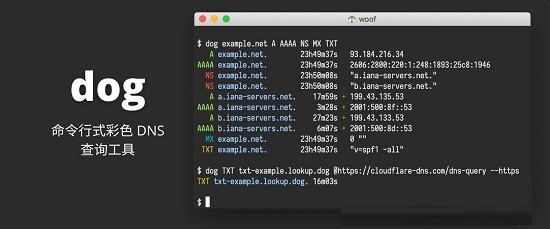 dog(ʽɫDNSѯ)v0.1.0 ٷ