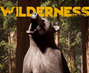 ҰWilderness